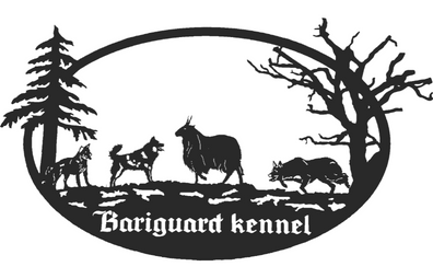 pawradisepetshop.hu