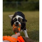 Joy In Dogs Fonott huzis játék - Zöld és Narancs