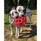 Joy In Dogs JoyBall - Többfunkciós labda - Rózsaszín