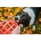 Joy In Dogs JoyBall - Többfunkciós labda - Rózsaszín