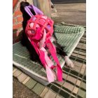 Joy In Dogs SniffJoy-Szimatjáték rózsaszín