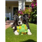 Joy In Dogs SniffJoy-Szimatjáték zöld