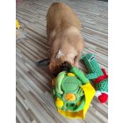 Joy In Dogs SniffJoy-Szimatjáték zöld