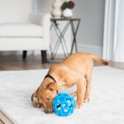 JW HOL-EE ROLLER (több színben és méretben)