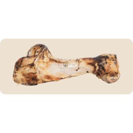 KIVO Dínó Csont XL