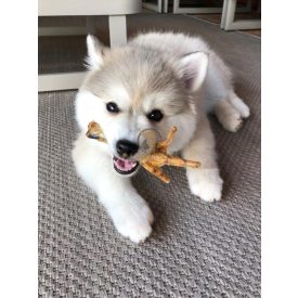 KIVO Natúr csirkelábak