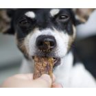 KIVO Szárított bárányhús csíkok