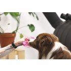 Loype Célkövető Pálca