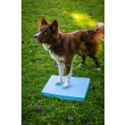 Loype Foam Target YogoDoggo