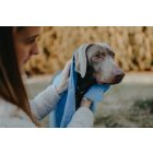 Loype Haftěrka törölköző