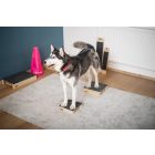 Loype Hamtal Target gumi felülettel