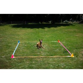 Loype INOUT négyzet (box)