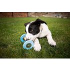 Loype Pupeek apportfa (kölyök kutyáknak, habszivaccsal)