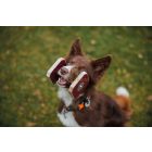 Loype Snoutfit Apportfa