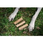 Loype szagazonosító fák