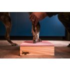 Loype Target Hamtal Up