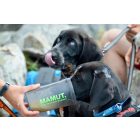 Mamut Pre-run 800 g