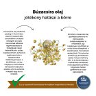 My Bulldog Cream - orr- és mancsápoló krémek - Finomítatlan sheavaj jojobaolajjal