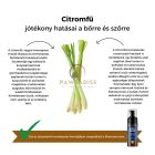 My Bulldog Shampoo - gyógynövényes kutyasamponok - Citromfű