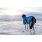 NON-STOP DOGWEAR BLEST JACKET