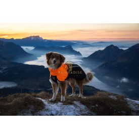   Non-Stop Fjord Raincoat 2.0 – Prémium esőkabát kutyáknak - Orange/Narancs