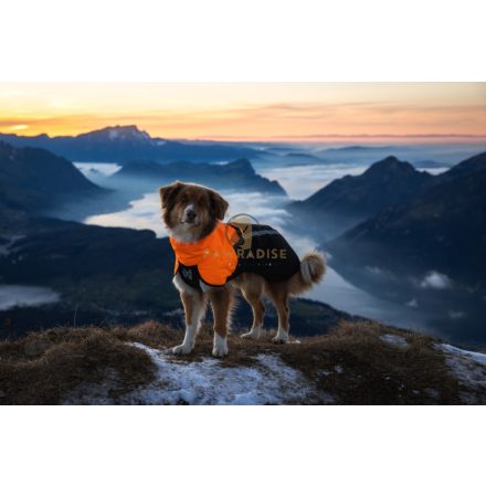 Non-Stop Fjord Raincoat 2.0 – Prémium esőkabát kutyáknak - Orange/Narancs
