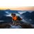 Non-Stop Fjord Raincoat 2.0 – Prémium esőkabát kutyáknak - Orange/Narancs