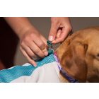 Non-stop hűtőmellény - cooling vest