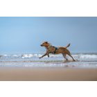 Non-stop hűtőmellény - cooling vest