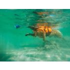 Non-stop Safe life jacket 2.0 Narancs 4-es méret