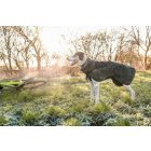 Non-Stop Wool Dog Jacket – Merinó gyapjú kutyakabát - dark teal