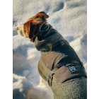 Non-Stop Wool Dog Jacket – Merinó gyapjú kutyakabát - dark teal