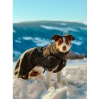 Non-Stop Wool Dog Jacket – Merinó gyapjú kutyakabát - dark teal