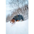 Non-Stop Wool Dog Jacket – Merinó gyapjú kutyakabát - dark teal