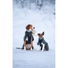 Non-Stop Wool Dog Jacket – Merinó gyapjú kutyakabát - dark teal