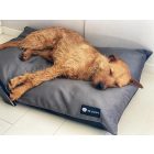 NRDOGS Basic Kutyafekhely Soft Magic (több színben és méretben)