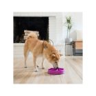Outward Hound Fun Feeder Slo Bowl, Lila, M