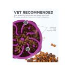 Outward Hound Fun Feeder Slo Bowl, Lila, M