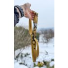 PVC Hexa póráz és nyakörv szett - arany