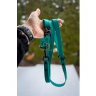 PVC Hexa póráz és nyakörv szett - crayon green