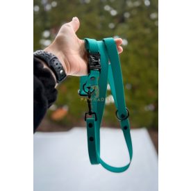 PVC Hexa póráz és nyakörv szett - crayon green