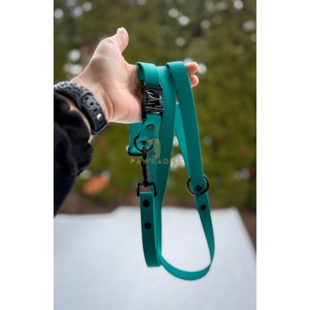 PVC Hexa póráz és nyakörv szett - crayon green