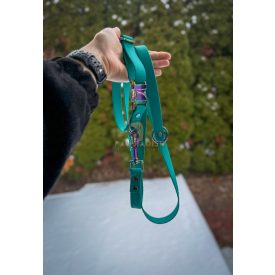 PVC Hexa póráz és nyakörv szett - crayon green 2