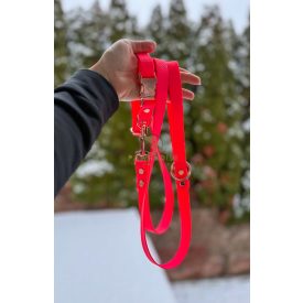 PVC Hexa póráz és nyakörv szett -  neon pink