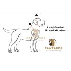 PVC Hexa póráz és nyakörv szett -  neon pink