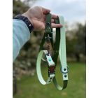 PVC Hexa vízálló nyakörv