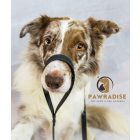 PVC Hexa Vízálló Póráz