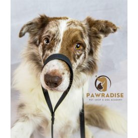 PVC Hexa Vízálló Póráz