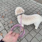 PVC Hexa Vízálló Póráz