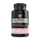 QUEBECK GASTRO-Q gyomorsavkötő, gyomornyálkahártya védő por 